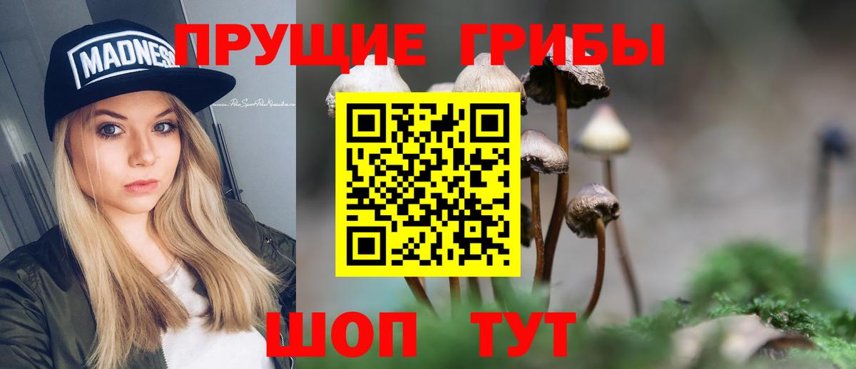 Майский  купить наркоту  Вход с VPN  Галлюциногенные грибы MAGIC MUSHROOMS 